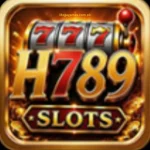 H789 Game