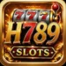 H789 Game